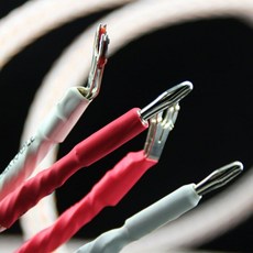 은바나나플러그