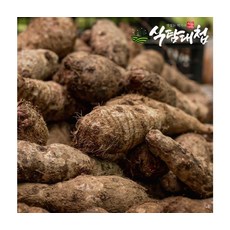 곡성 신선채소 생토란 특상품 2kg, ONE COLOR