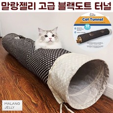 고양이 터널 인기 순위