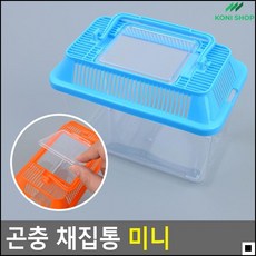곤충채집함