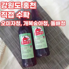 강원도 홍천 개복숭아엑기스 오미자액기스 돌배효소 750ml, 오미자엑기스_750ml, 1개