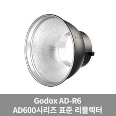 고독스600