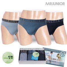 트라이인견브리프