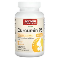 Jarrow Formulas 커큐민 95 강황 추출물 500mg 베지 캡슐 120정, 1개
