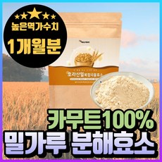 (혁2라이프) 호라산 밀 효소 유산균 분말 가루 100% 정품 골드 카뮤트 카뮤터 소화효소 탄수화물분해효소 단백질 분해효소 호라산 역가수치 높은 발효효소 곡물효소 아밀라아제, 1개, 150g