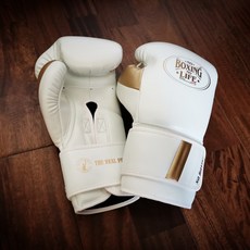 노복싱노라이프