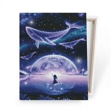 보석십자수DIY액자형 비석비즈십자수 큐빅십자수 40x50, 1개