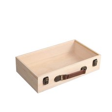 표본 상자 관찰 박제 장식 교육용 투명 나비 채집, 플립박스 3개 20X15X7cm, 1개