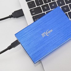 wdssd1tb외장하드