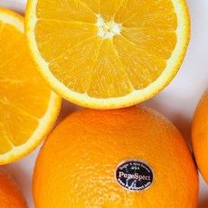 블렉라벨오렌지50과