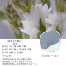 에르영
