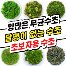 여의도아쿠아리움
