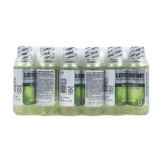 리스테린 미니 내추럴 마일드 6개입 100ml 그린티 6su*434PU, 1개, 본상품선택