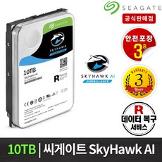 씨게이트 스카이호크 하드디스크 데이터백업용 HDD, 10TB, ST10000VE001 - st10000ve001