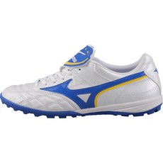 모렐리아웨이브