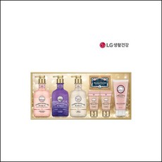엘지생활건강 샤워만으로 완성하는 홈 스파 벨먼39호 샴푸선물세트 명절선물세트 세제선물세트 jwvk
