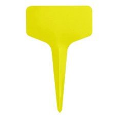 이자벨마랑다스티야