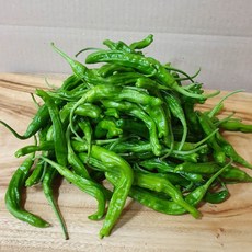 안매운꽈리고추
