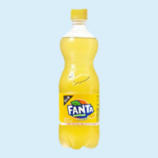 환타 파인애플, 500ml, 48개