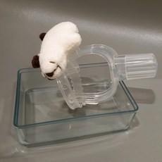 손가락빠는교정기