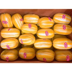 국내산 성주 참외 3kg, 꼬마, 22개