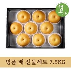 고당도 명품 배 명절 선물세트 8KG, 1개, 8KG(13~16과)