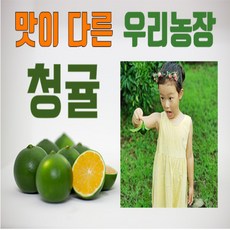 청귤 풋귤 제가 직접 따서 보내드리는 5kg 10kg 제주 우리농장, 1개