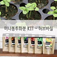 UZG404899키우기쉬운식물 미니 방수화분 재배 세트 허브바질