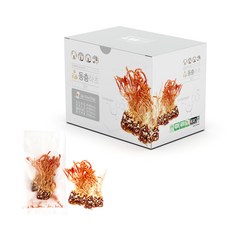 금관 유기농 동충하초 절편 10개입 1박스 / 안전한 개별포장, 20g, 2개