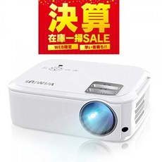 300인치