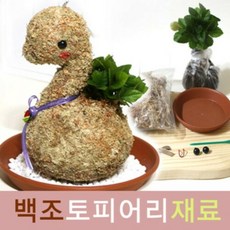 백조토피어리