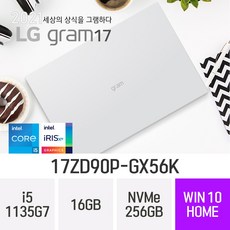 ((오늘출발)) LG 2021 그램17 17ZD90P-GX56K + 한컴 오피스 증정 [블랙 색상으로 출고 됩니다.], 256GB, 윈도우 포함, 16GB