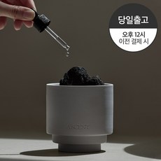 에이센트 오브제 스톤디퓨저, 오브제용기 + 화산석 + 오일 10ML, 밤쉘, 1개