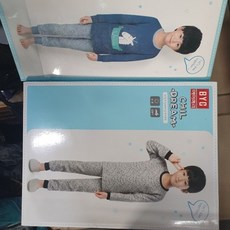 갱수네카사이레이스