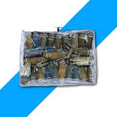 마라롱샤용 냉동민물가재 800g 21 25미, 1개