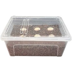 인큐베이터 파충류 도마뱀 부화기 거북이 알 사육장, 1개, L 사이즈 인큐베이터 1세트(알 20개)