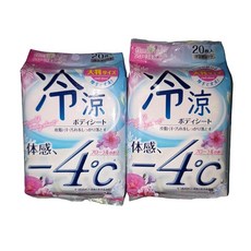 냉량 바디 시트 -4℃ 땀 닦기 플로럴향 20매입×2개 세트, 1개, 1g