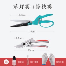 yula의자수화초처방전