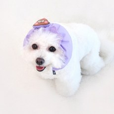 강아지방수스누드