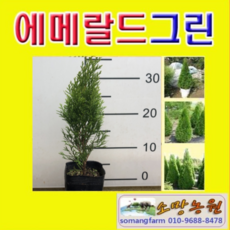 77c2851865e3818bdaebeba41d84dcc70c82fc1669aea2b2e3dd151bbc2e.png