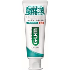 [일본 검치약 일본직구] GUM (껌)의약외품약용 소금 치약 덴탈 페이스트 솔티 민트 스탠딩 타입 스파이시 민트 타입 <CPC 함유 살균 치주질환 예방 잇몸케어 구취예방 치약> 150g, 1개