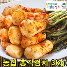 전라도 화원농협 총각김치 3kg 순국산양념재료 100% 해남알타리 이맑은김치, 1개