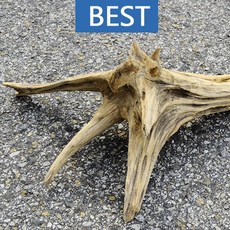 a8274d64a2b0545b5c4c9329906e093e59ed79c1cc9904ba114eb4fb11ec.jpg