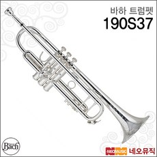 바하190s37트럼펫