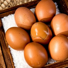 어린닭이 낳아 더욱 신선한 안심 구운란 60구 2100g