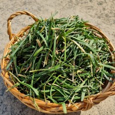남해안 노지 부추 500g 1kg 약부추, 1개