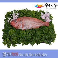 37평단형여성죽도