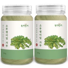 동의한재 국산 소루쟁이잎 가루 분말 300g x 2개