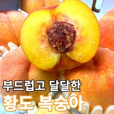 청도아삭이복숭아