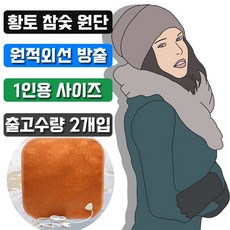우진테크 경제적인 난방비 절감효과 1인용 전기 방석 X 2개입 / 타입 규격 배송상품 : HV21 황토 온열_1인 67x180 (고시원방석/모텔방석/원룸방석 추천)